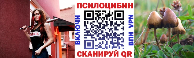 Псилоцибиновые грибы Cubensis  Купить где  Курган 